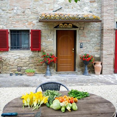 Casa Donella B&B Gricignano Eksteriør billede